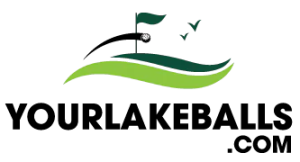 YLB logo